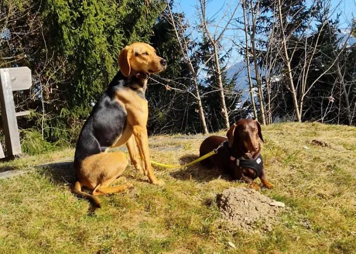 Дом отдыха Vacation In