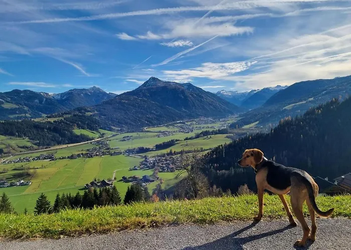 Vacation In Дом отдыха Флахау