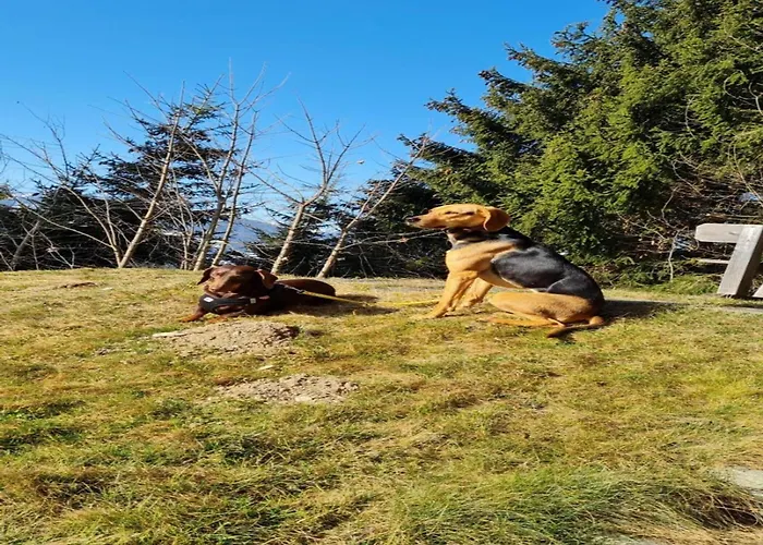 Σπίτι διακοπών Vacation In