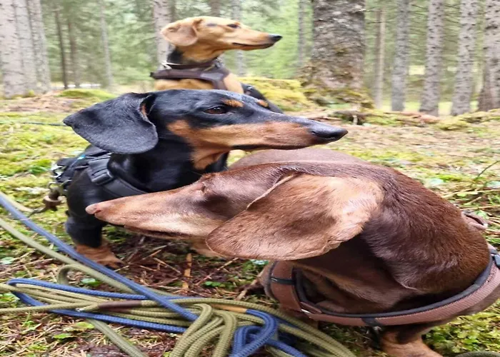 Дом отдыха Vacation In